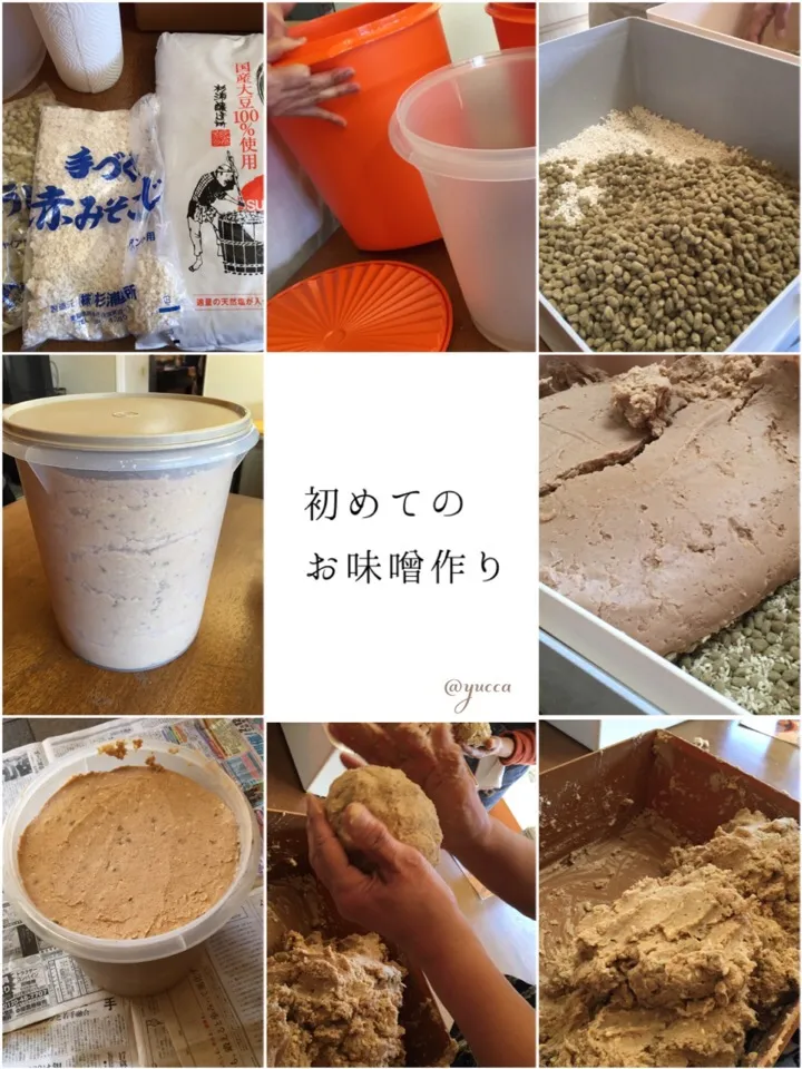 Snapdishの料理写真:初めてのお味噌作り|yucca@さん