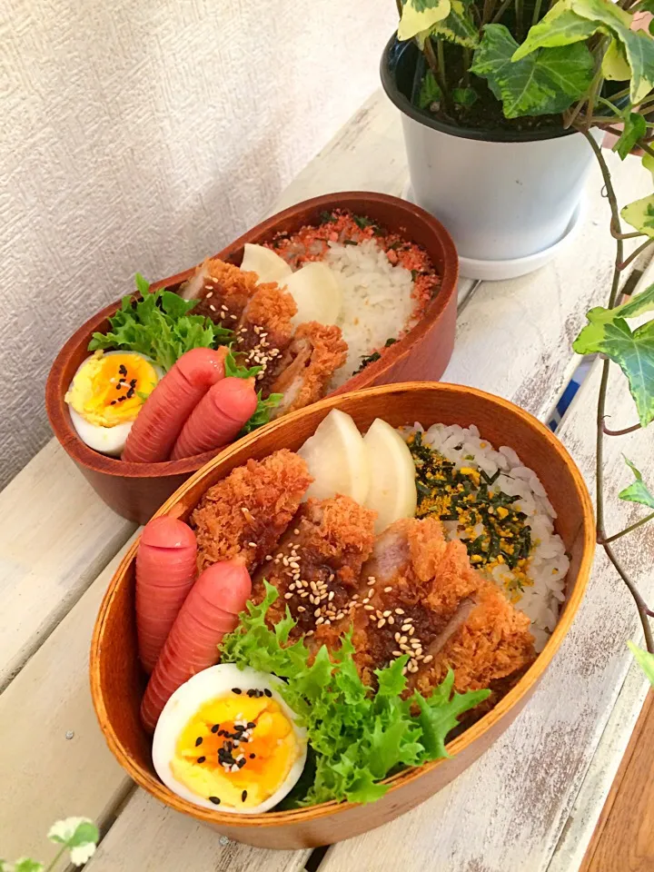 今日の弁当🍱だよ〜
2017/02/26|Booパパさん