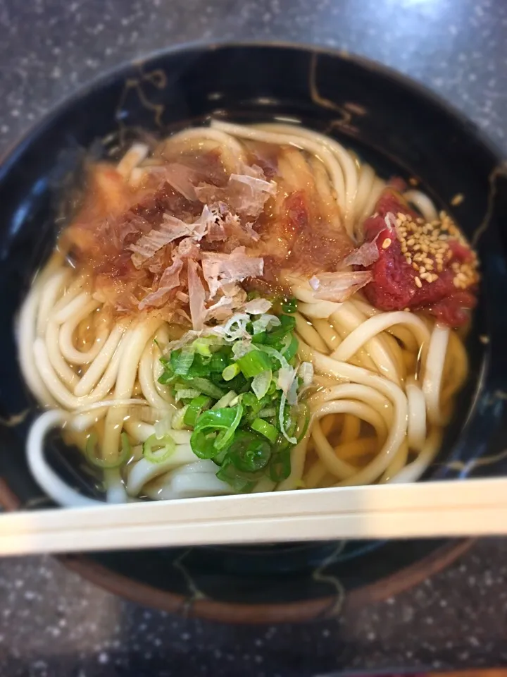 立ち食いうどん|アリエッティさん