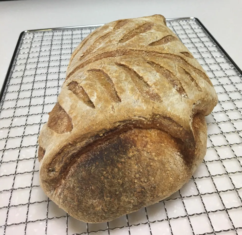 Snapdishの料理写真:Decorated Country Sourdough|gonbenさん