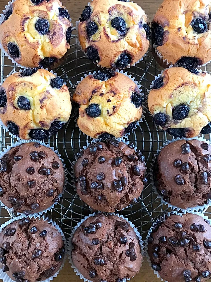 生クリームで作ったチョコマフィンとブルーベリーマフィン🌷|洋子さん