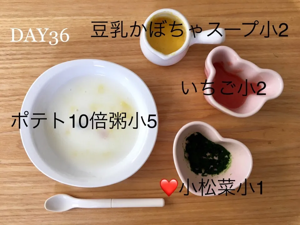 DAY36 離乳食初期 #pianokittybabyfood|離乳食完了期 1歳さん