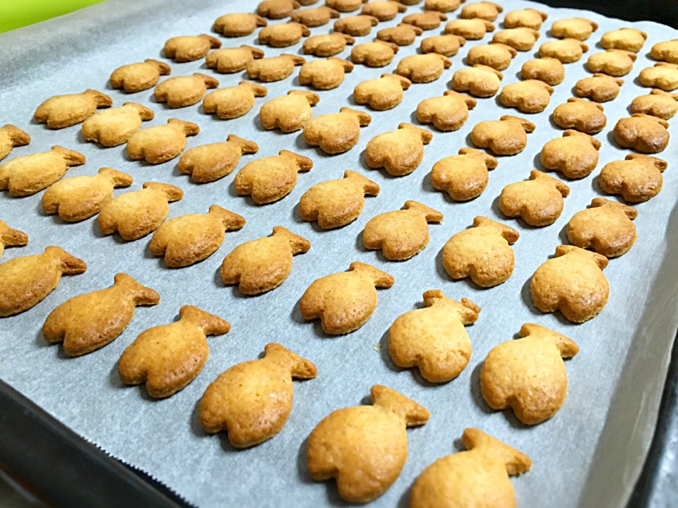 オサカナクッキー>゜))))彡#クッキー#HM