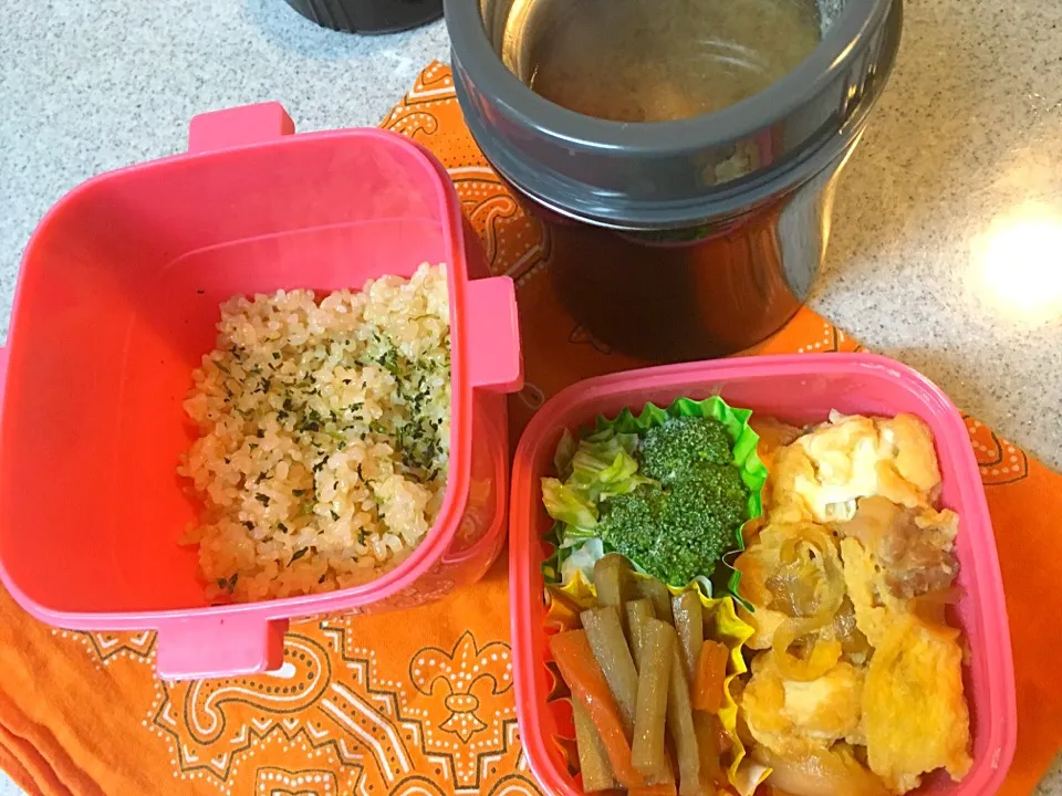 2/27☆今日のお弁当☆〜親子丼風玉子とじ、きんぴら、ブロッコリーとキャベツのマヨポン和え〜|Satokoさん