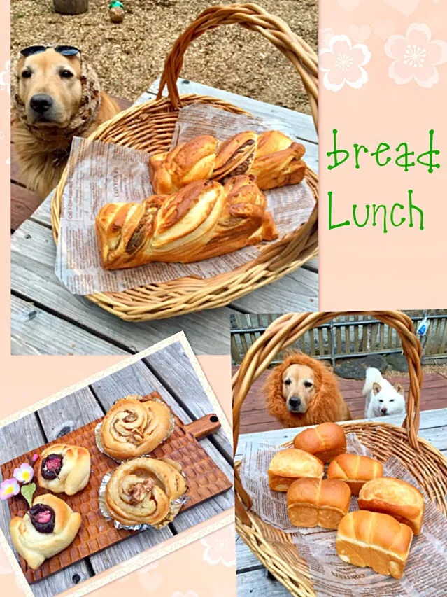 手作り🤗パン🐢💨💨💨
チョコバナナ&カフェオレ味のツイストパン🍞ミニ食パン🌸桜あんパンとメープルロールナッツ🥜|きゅうちゃんさん