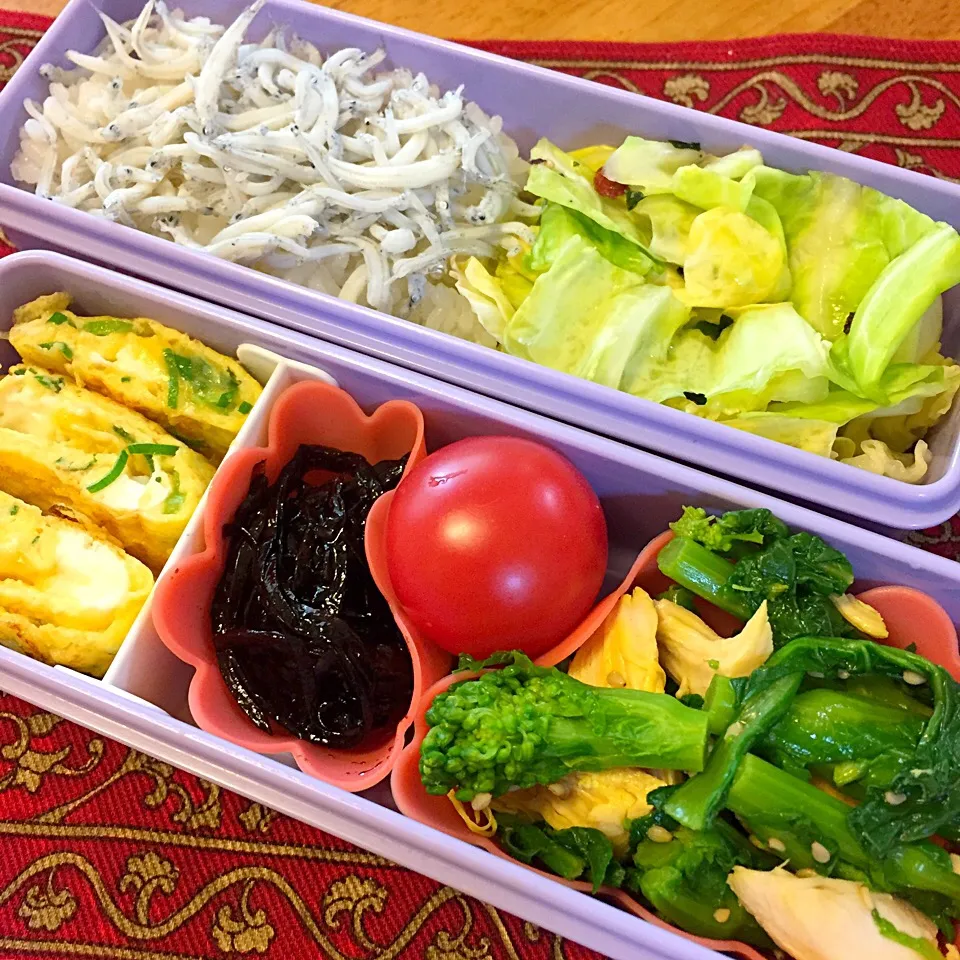 Snapdishの料理写真:鶏ささみと菜の花の辛子和えと釜揚げしらすご飯弁当|もえさん