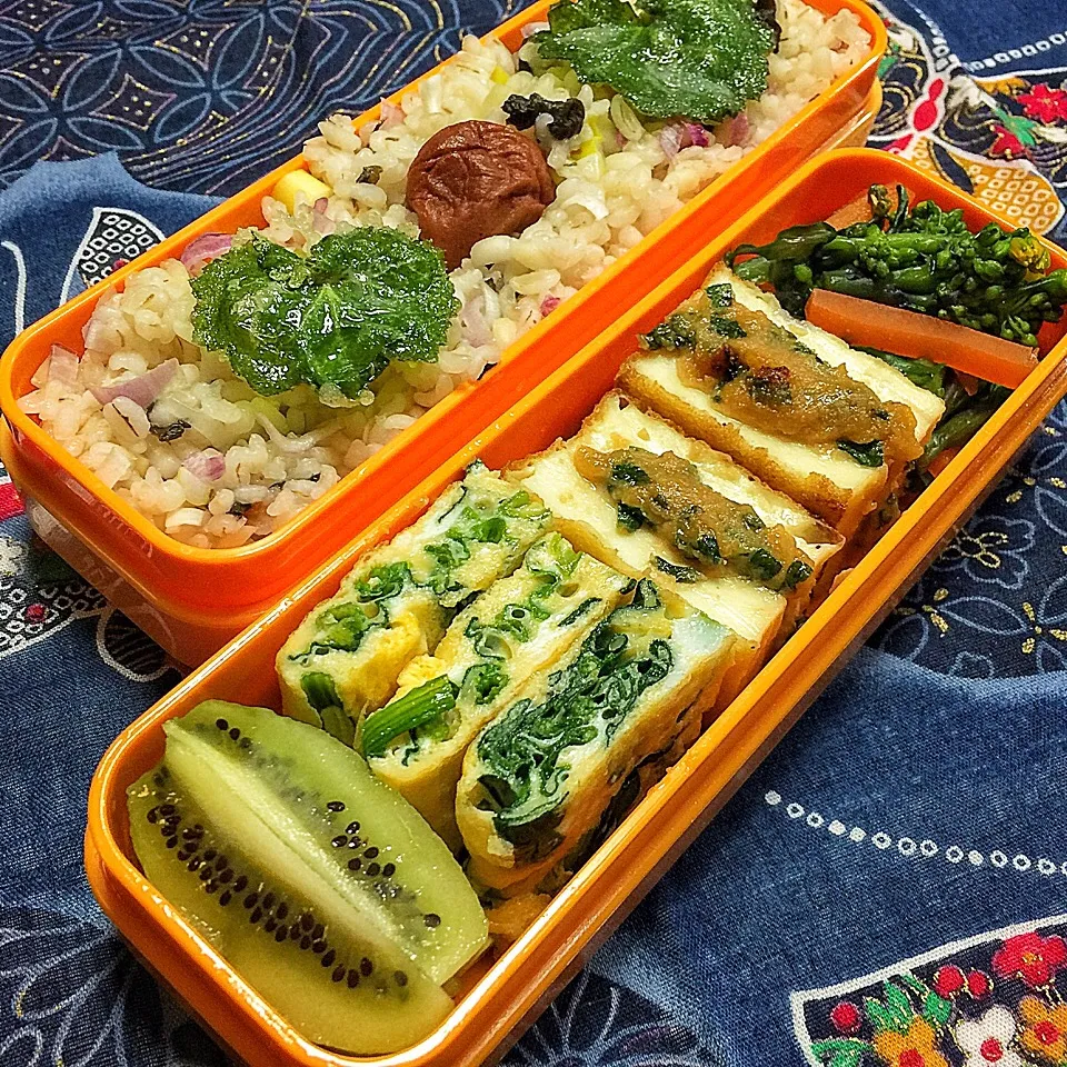 【今日のお弁当】|鯨井 真由美さん