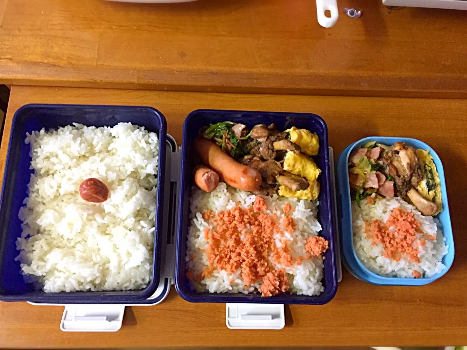 Snapdishの料理写真:高校生お弁当🌸Myお弁当|reiさん