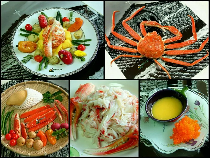 Snapdishの料理写真:opilio crab salad|steven z.y.さん