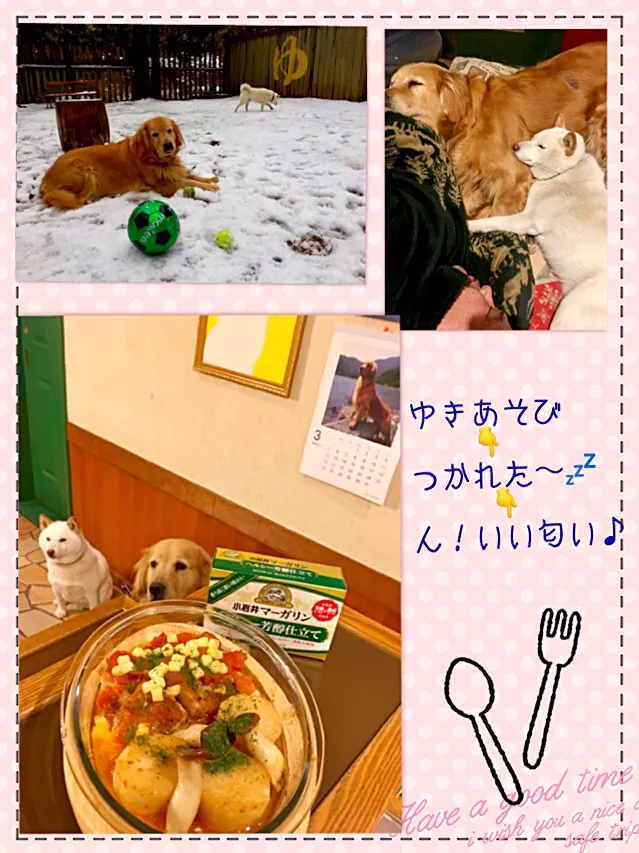 Snapdishの料理写真:赤魚🐟トマトソース🍅ソテー
大和芋とエリンギのポン酢バター煮|きゅうちゃんさん