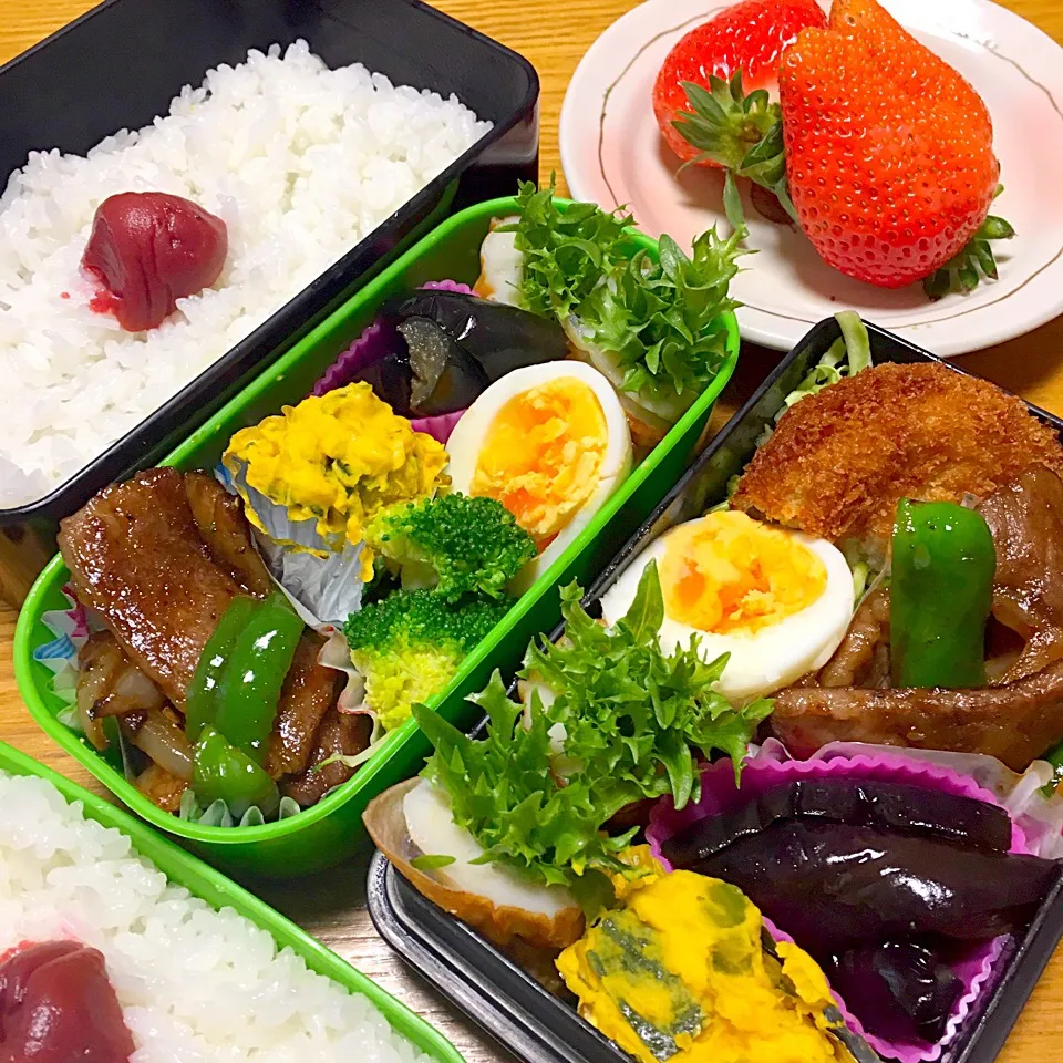 Snapdishの料理写真:今日のお弁当🍱2017.3.3
パパ弁💕My弁
#お弁当|mayuさん