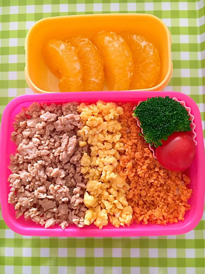 Snapdishの料理写真:今日のお弁当#3色そぼろ弁当#鶏そぼろ#炒り卵#鮭フレーク #甘夏#はちみつ|ぴのさん