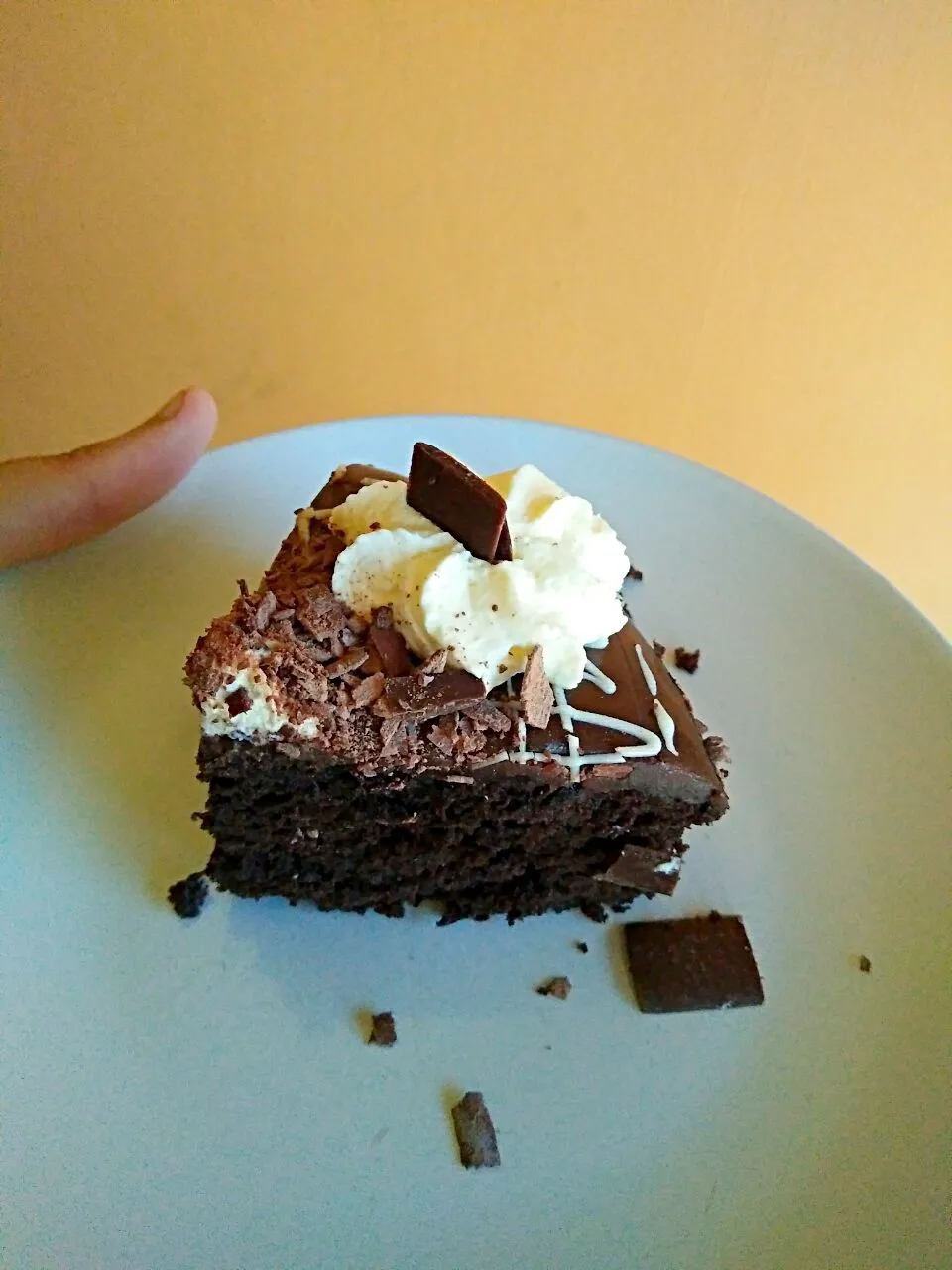 Chocolate mud cake with cream and shaved chocolate|Maria Mousazadehさん