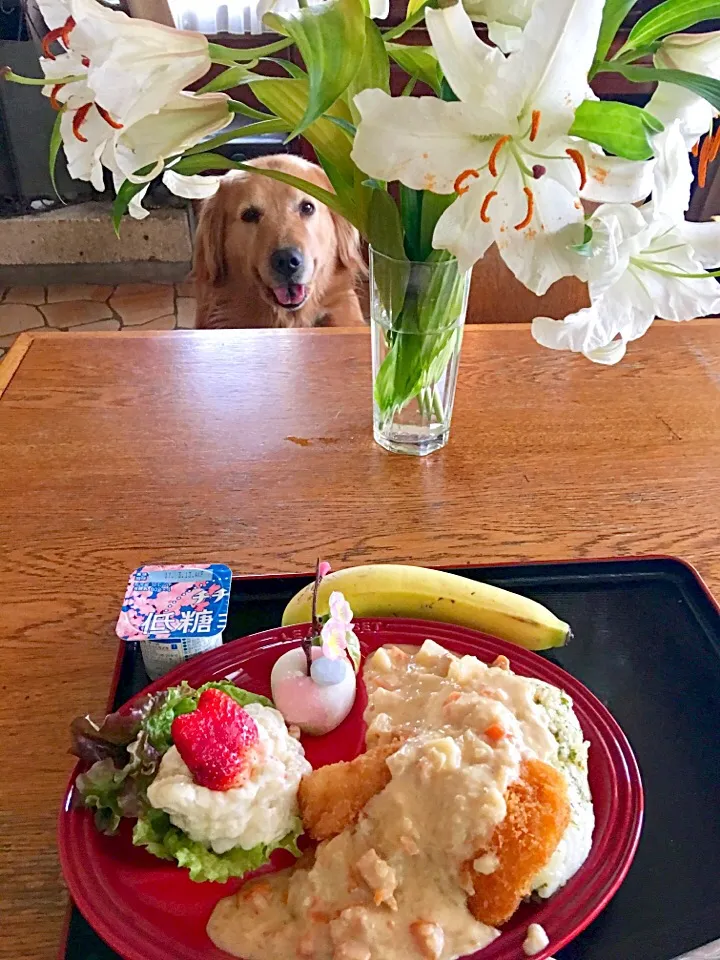 主人のランチ😋
ホワイトカレー🍛(野菜とホタテ)
ポテトサラダ🥗🍓
桜あん餅🌸ヨーグルト🍌|きゅうちゃんさん