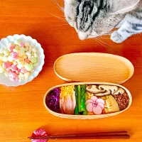 Snapdishの料理写真:ちらし寿司弁当🎎