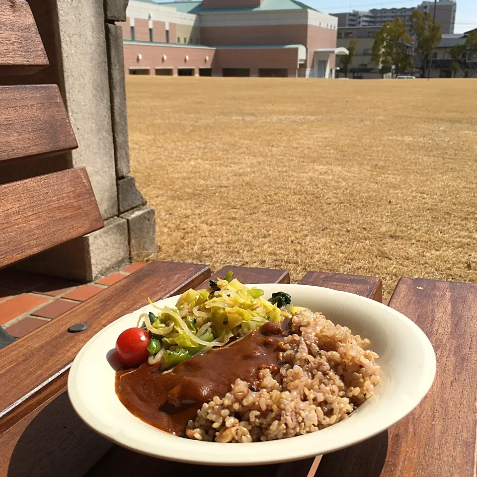 ピクニック・ランチ♬ (▰˘◡˘▰)☝︎ #ピクニック #ピクニック・ランチ #昼ごはん #お昼ごはん #カレーライス #カレー #lee #サラダ #ワンプレート #ワンプレート弁当|Yoshinobu Nakagawaさん