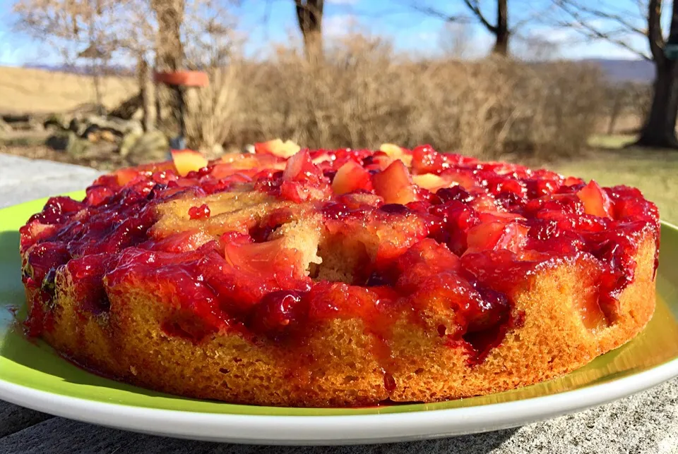 Cranberry Apple upside down cake|Dean M Rogersさん