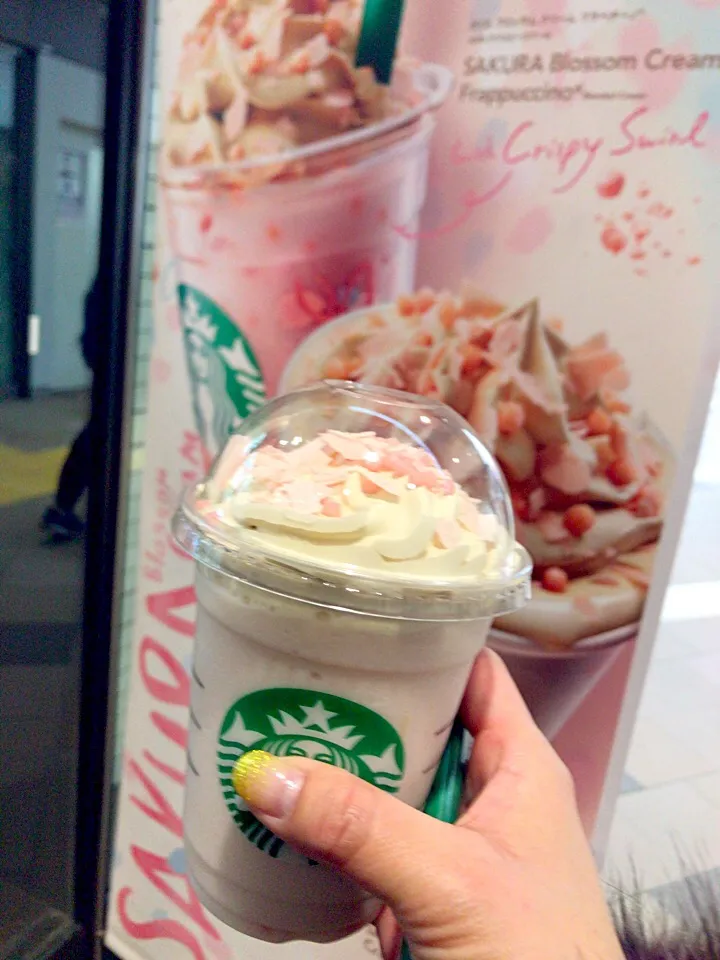 Sakura Blossom Cream Frappuccino🌸桜ブロッサムクリームフラッペチーノ|🌈Ami🍻さん