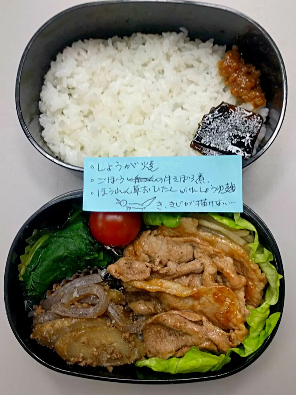 Snapdishの料理写真:3月6日のサラメシはしょうが焼き弁当😋|ニッパーさん