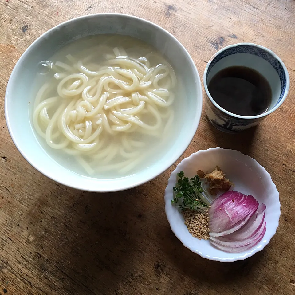 春休みの昼ごはん‼︎
#昼ごはん #お昼ごはん #lunch #うどん #釜揚げうどん|Yoshinobu Nakagawaさん