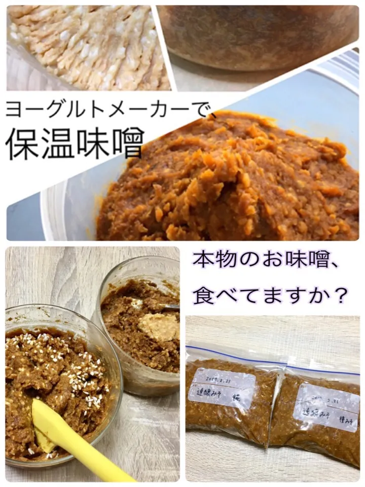 【味噌作りポイントまとめ】本物のお味噌、食べてますか？|まっちGさん