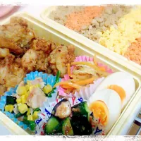 本日のお弁当☆三色丼&唐揚げランチ♪隙間には簡単煮卵(作り方はコメントに)
#三色丼 #唐揚げ#お弁当#煮卵|＊megmilk’s cafe＊〜☆*:.｡. ほっこりごはん。｡.:*☆〜さん