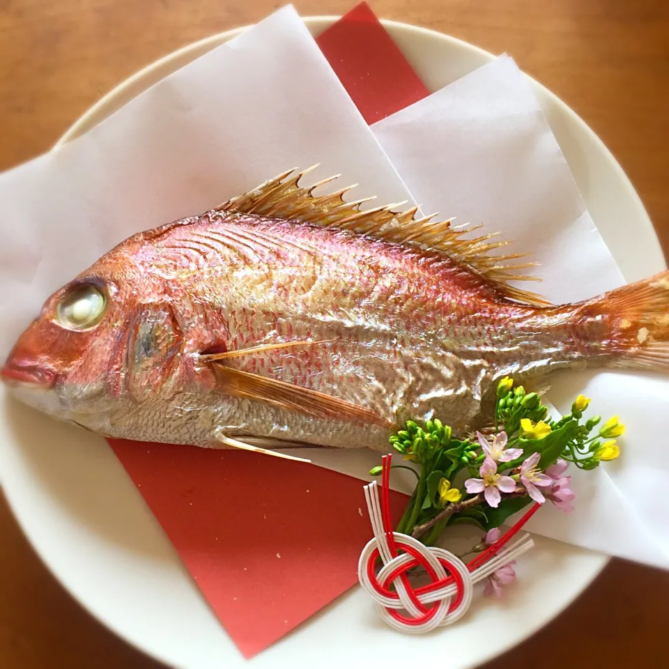 お食い初め🌸めで鯛塩焼き|わたげさん