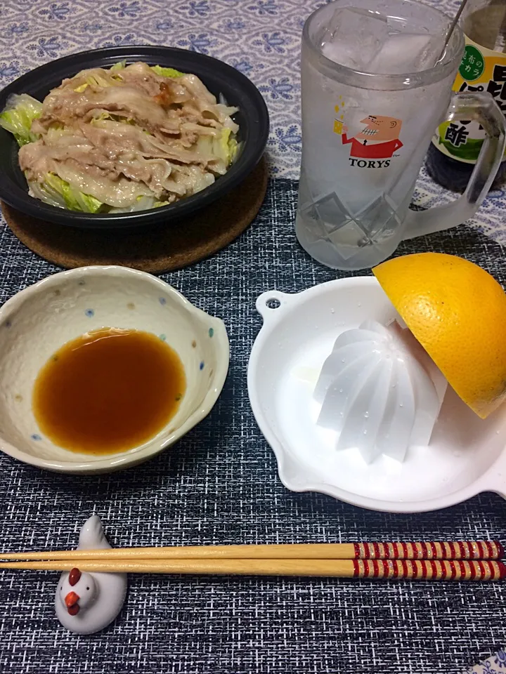 Snapdishの料理写真:1人家呑み|キャリーさん