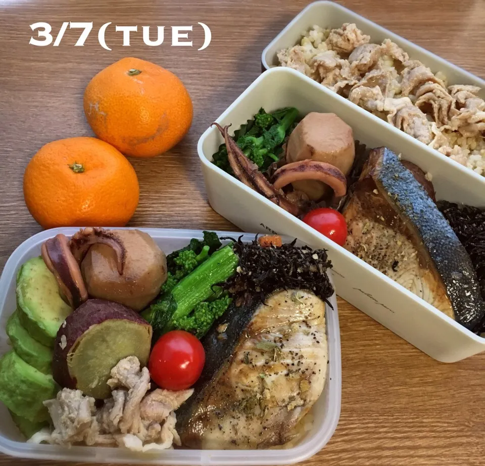 3/7 お弁当|もっちさん