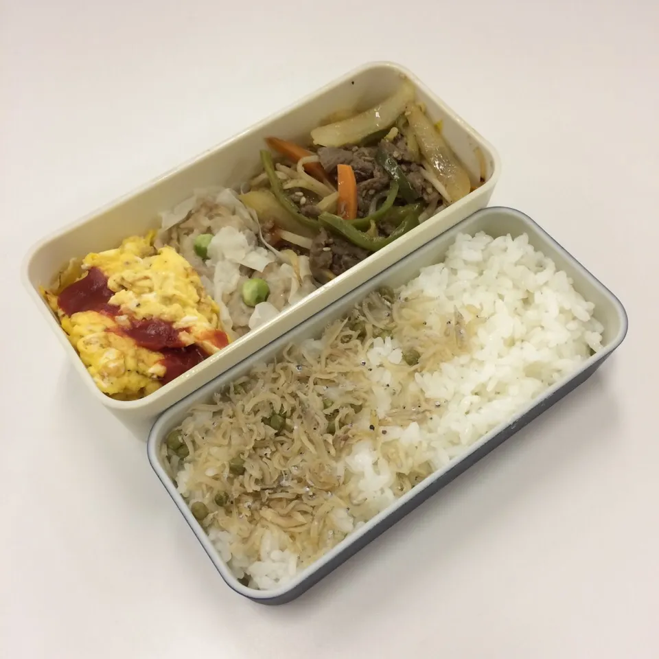 弁当（肉野菜炒め、焼売、オムレツ、ちりめん山椒）|SasaMasa213さん