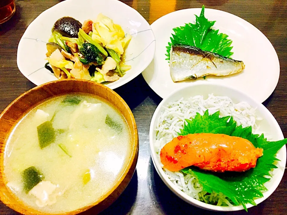 今日の夜ご飯〜(*´꒳`*)
しらす明太子丼٩(^‿^)۶|るみさん