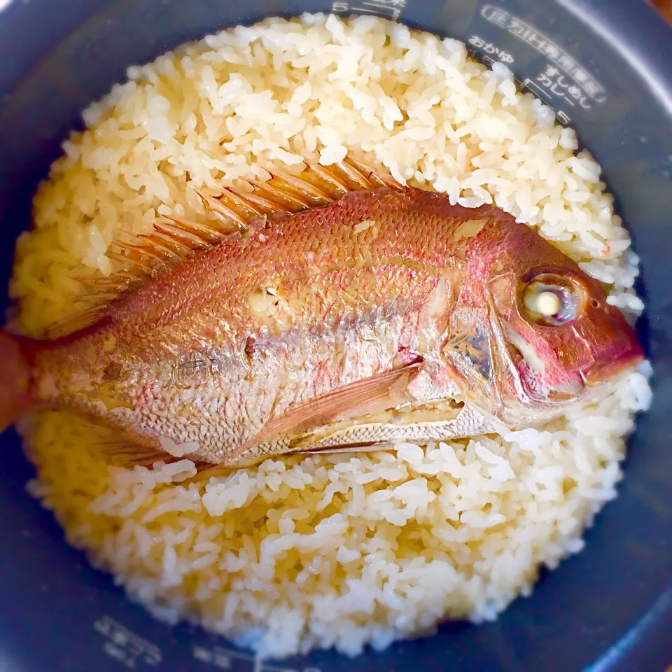 お食い初めリメイク🌸鯛めし|わたげさん