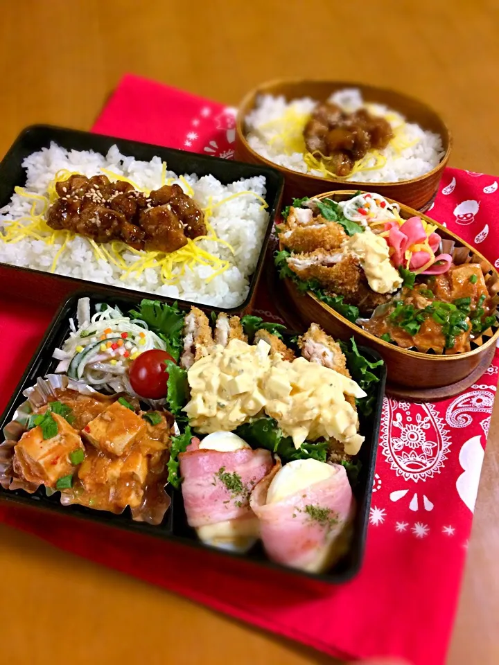 息子君、わたくし弁当🎶
アジフライ
麻婆豆腐
春雨サラダ
タマチーベーコン巻き
焼き鳥のっけごはん。|BooBooさん