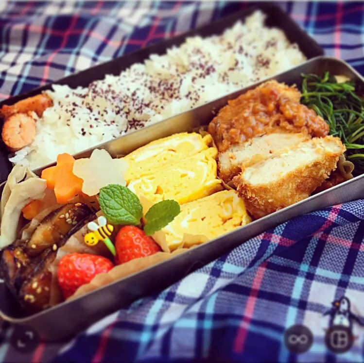 #お弁当#中学最後#iwakilaiki #プレミアム#コシヒカリ#チキンカツ#トマトソース#ボルボネーゼ #みりん干し#だし巻き卵 #おかひじき #焼きたらこ #ふくはるか#苺#感謝|kunipさん