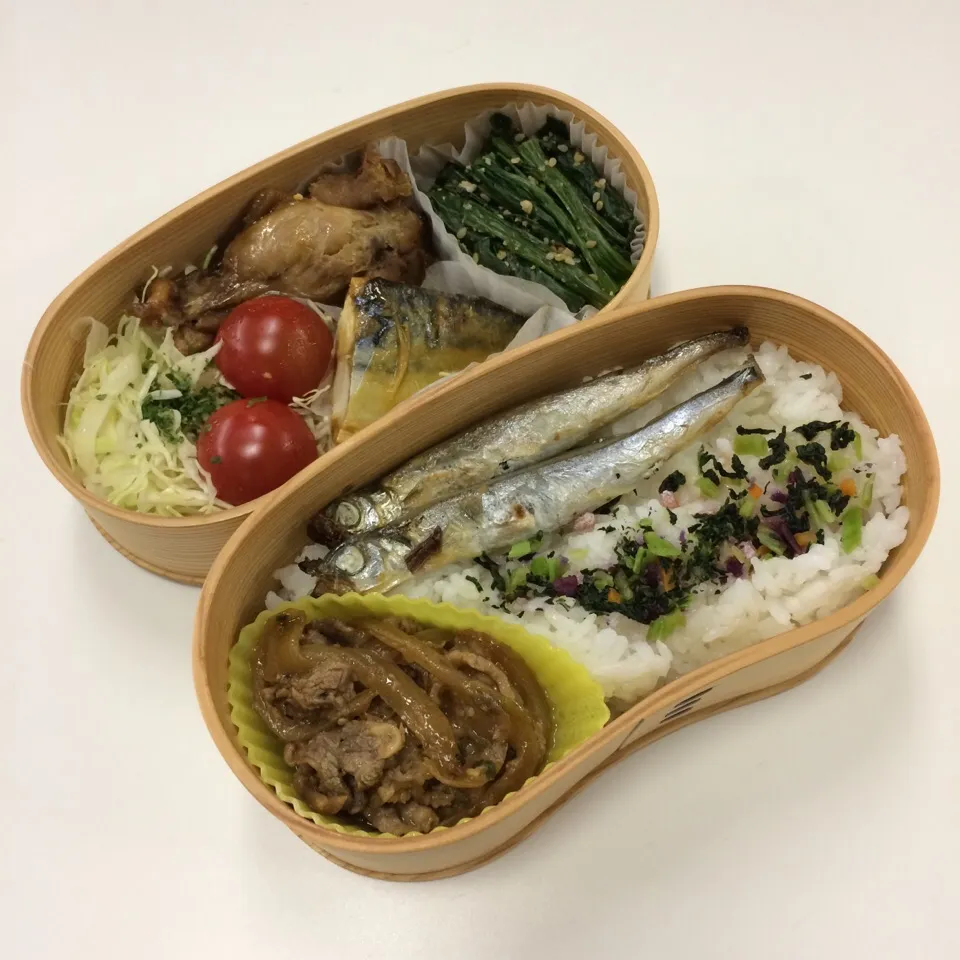 Snapdishの料理写真:弁当（牛肉生姜焼き、ししゃも、鶏手羽元焼、鯖西京焼、ほうれん草ゴマ和え、サラダ、ふりかけ）|SasaMasa213さん