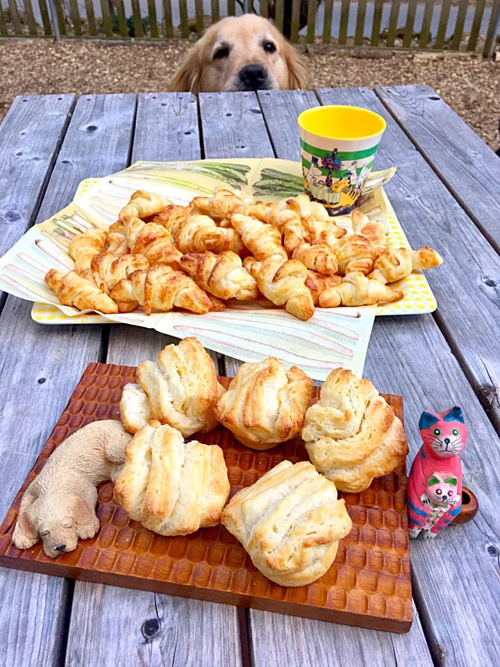 Snapdishの料理写真:バターフレーキー🥐ミニクロワッサン
🐶🐾きゅう〜💦ジャンプ寸前💨|きゅうちゃんさん