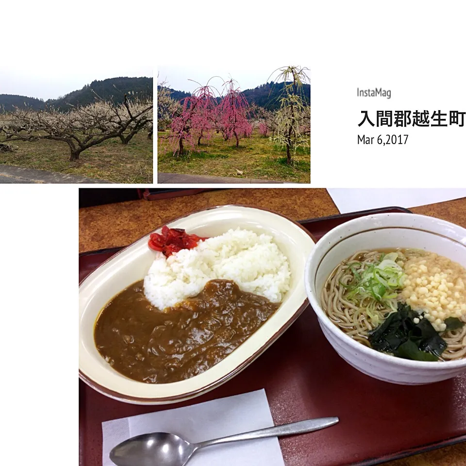 Snapdishの料理写真:埼玉県の越生梅林の近くの「山田うどん」😋花より団子😂|アライさんさん