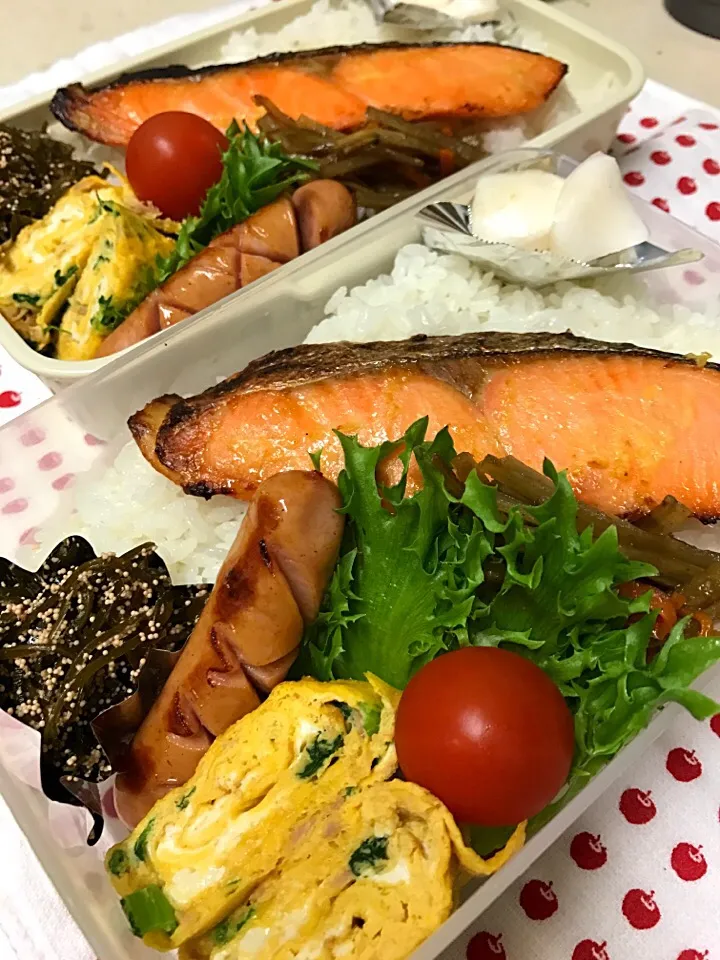 3月10日お弁当|Kumi Satouさん