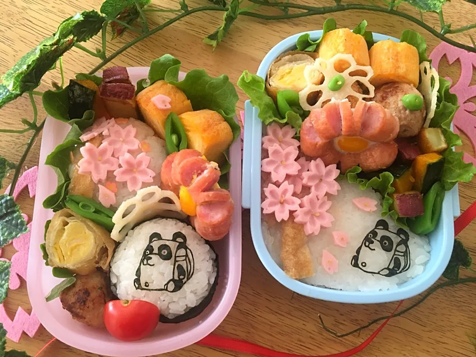 桜咲く、ぱんどせる🐼弁当|ひみえさん