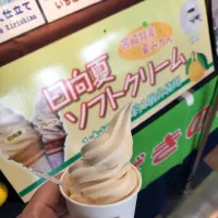 Snapdishの料理写真:【宮崎県】日向夏ソフトクリーム|hiroさん