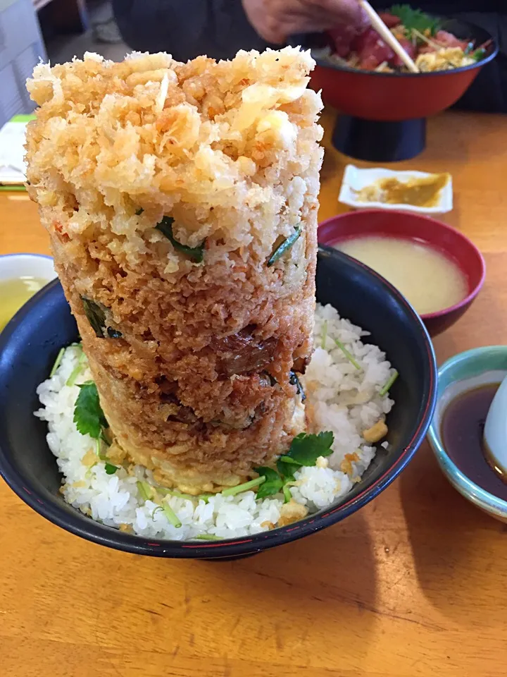 Snapdishの料理写真:念願のかき揚げ丼😋👍|えみさん