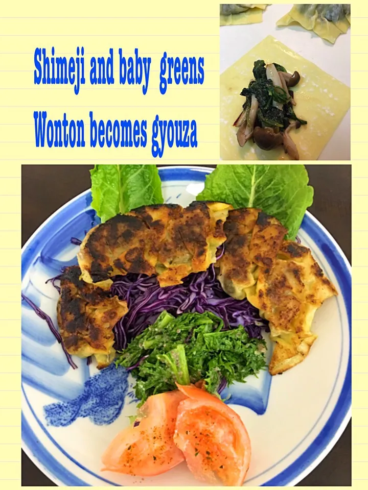 These veggie wontons think they are gyouza.|Douglas Allisonさん