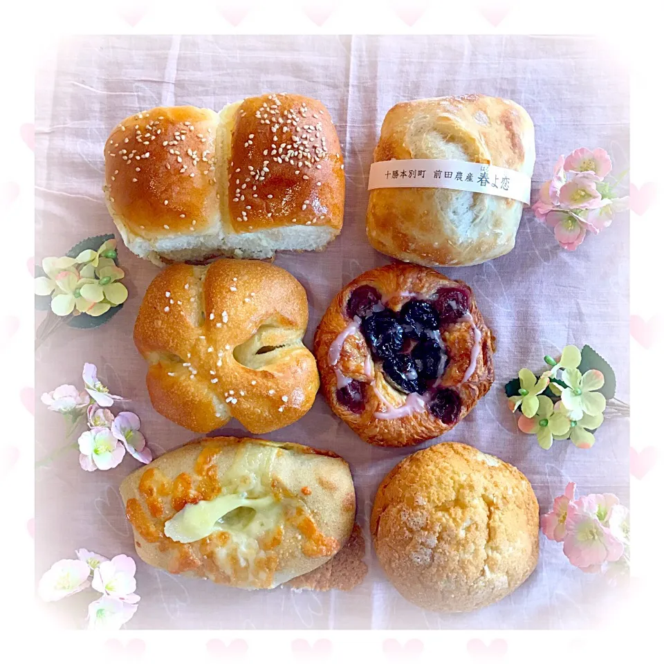 満寿屋商店 東京本店のパン達🥐🍞😋|ジヨ美さん