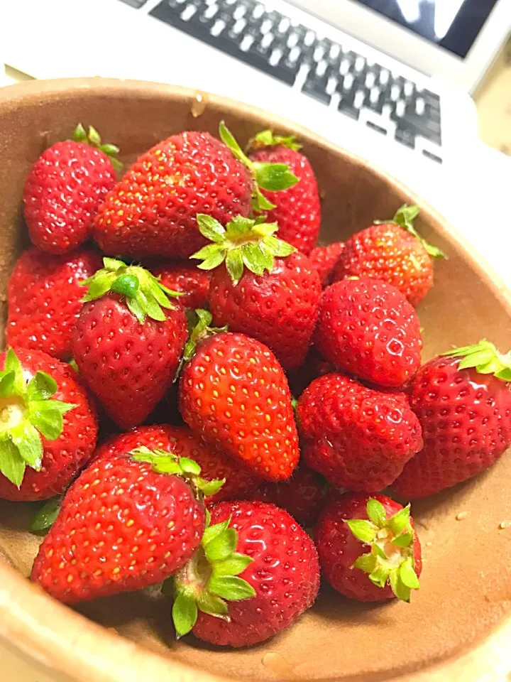 いちご♡|lalapoさん