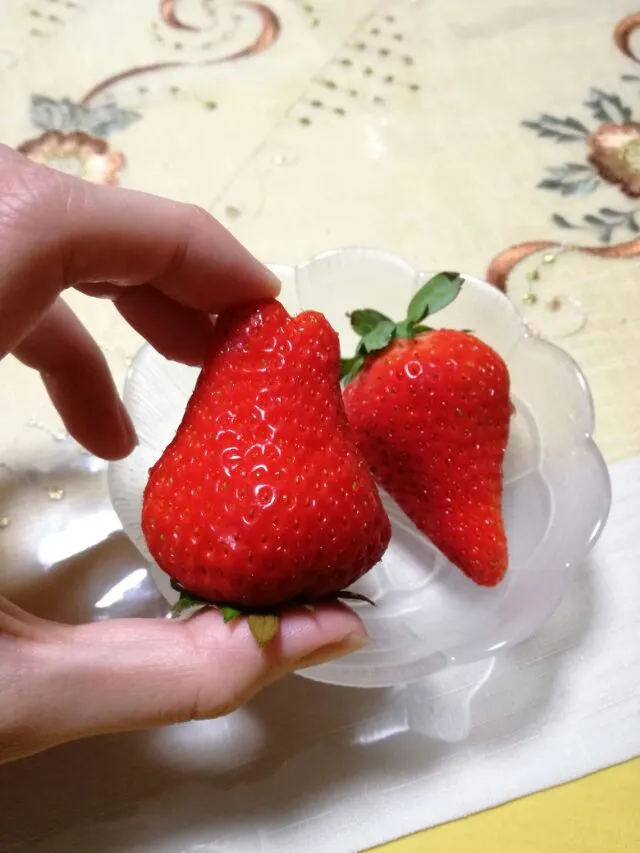 奈良の苺
古都華🍓ことか
真っ赤な大粒　甘い🎶|korinoさん