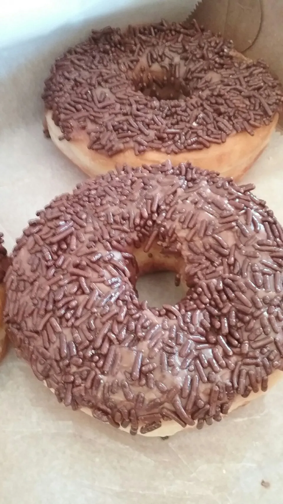 choc covered choc sprinkled glazed donuts.|Polly Gelfusoさん