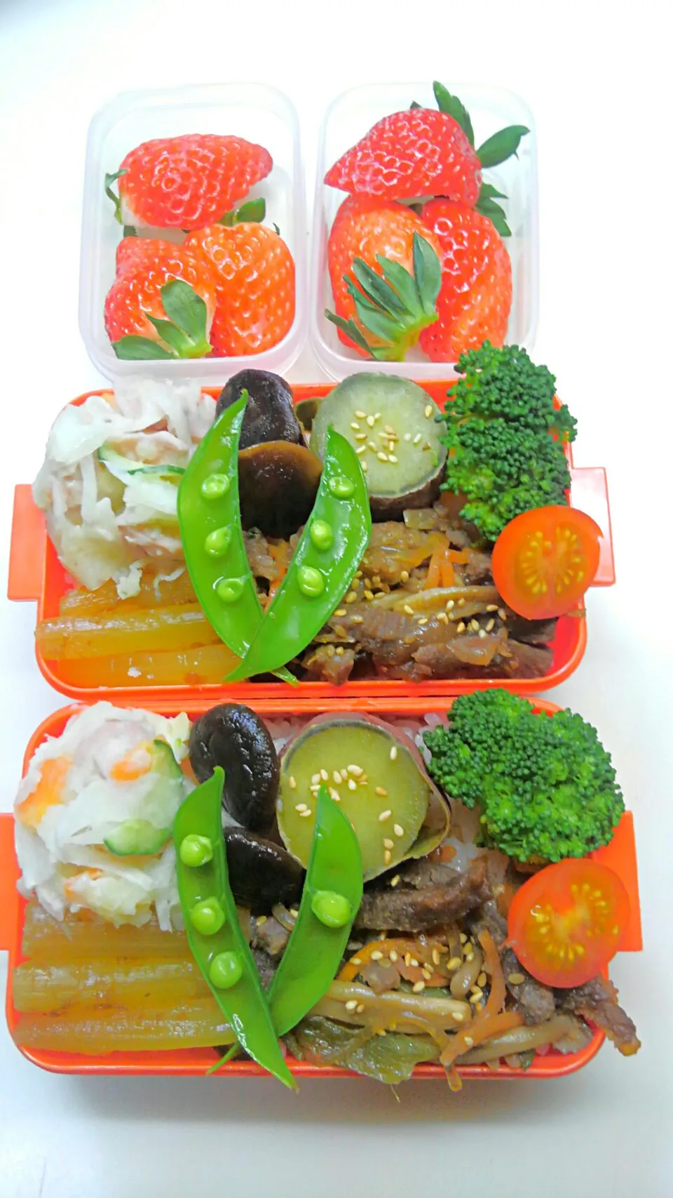 #娘弁当 #のっけ弁当|Sumie Matushitaさん