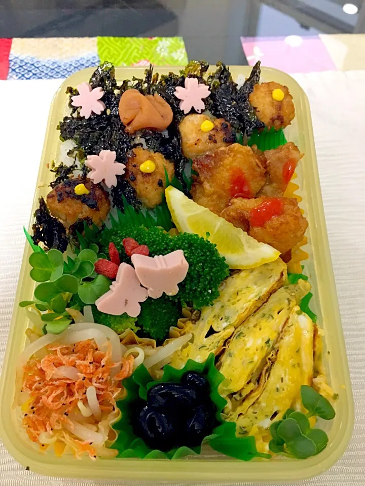 3月13日  プクパパお弁当|プクママさん