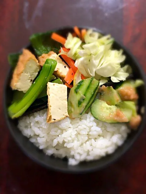 厚揚げ 小松菜 人参 キャベツ きゅうり レモン 梅干#お弁当 #vegan #bento #vegetarian|aiさん