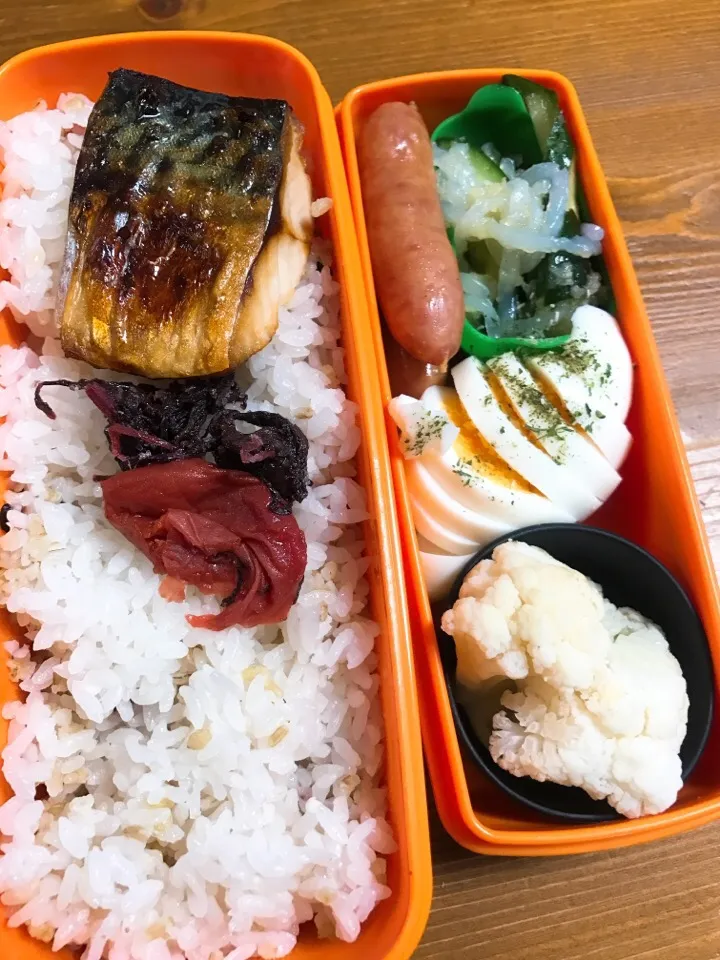 今日のお弁当#焼き塩サバ #自家製梅干し#きゅうりと乾燥白滝のセロリドレッシング和え#ゆで卵バジル塩#カリフラワー|料理家めーらさん